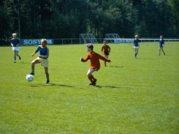 0DIA 1985 RAVA PUPS 1